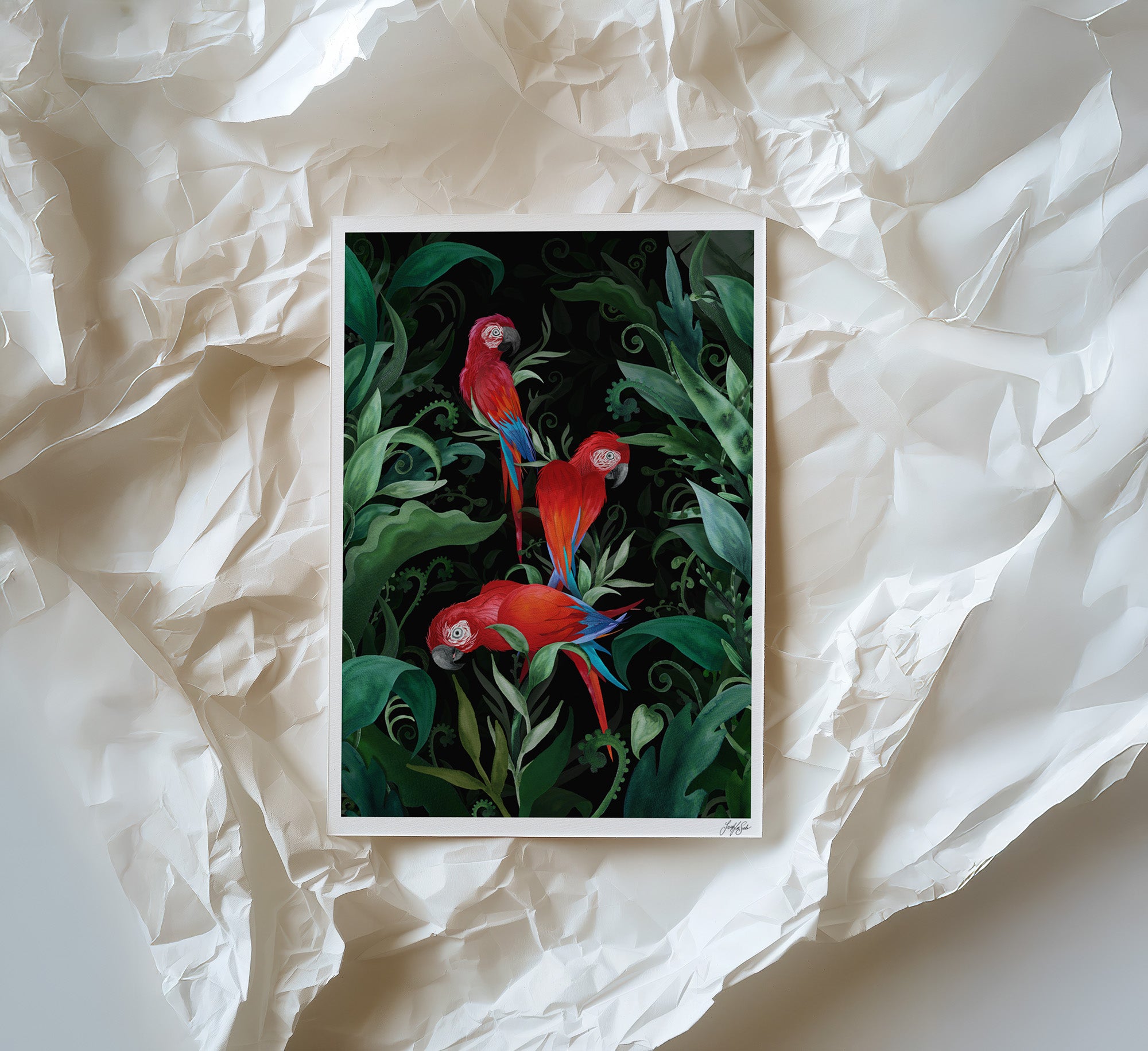 Majestic Macaws Art Print-3