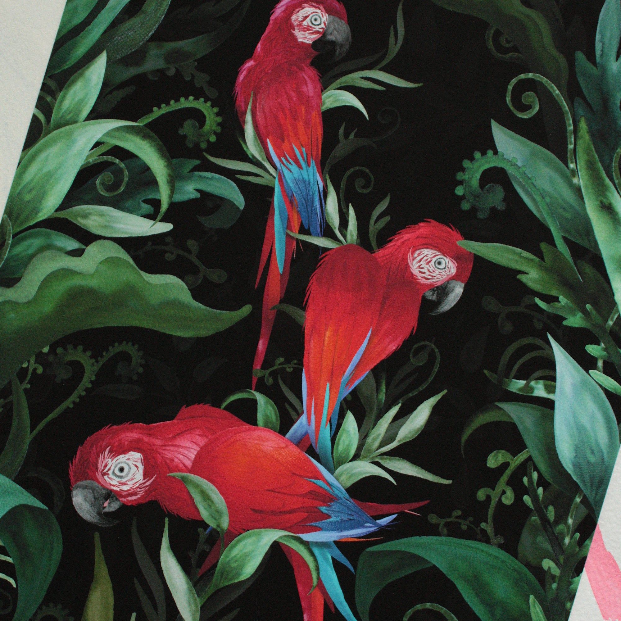 Majestic Macaws Art Print-5