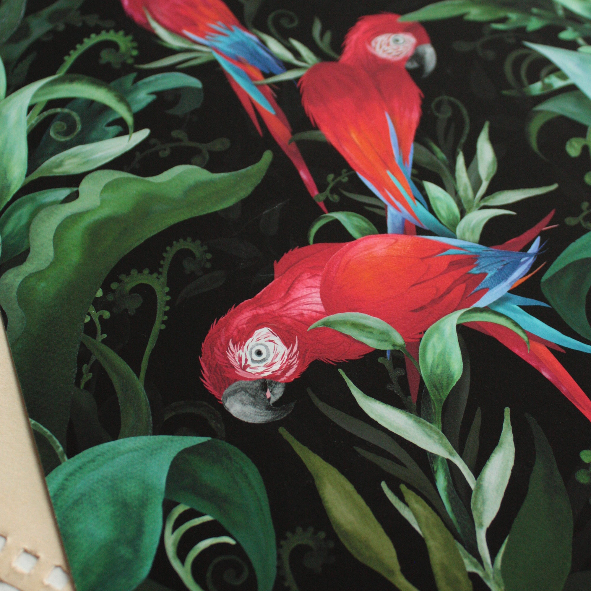 Majestic Macaws Art Print-6