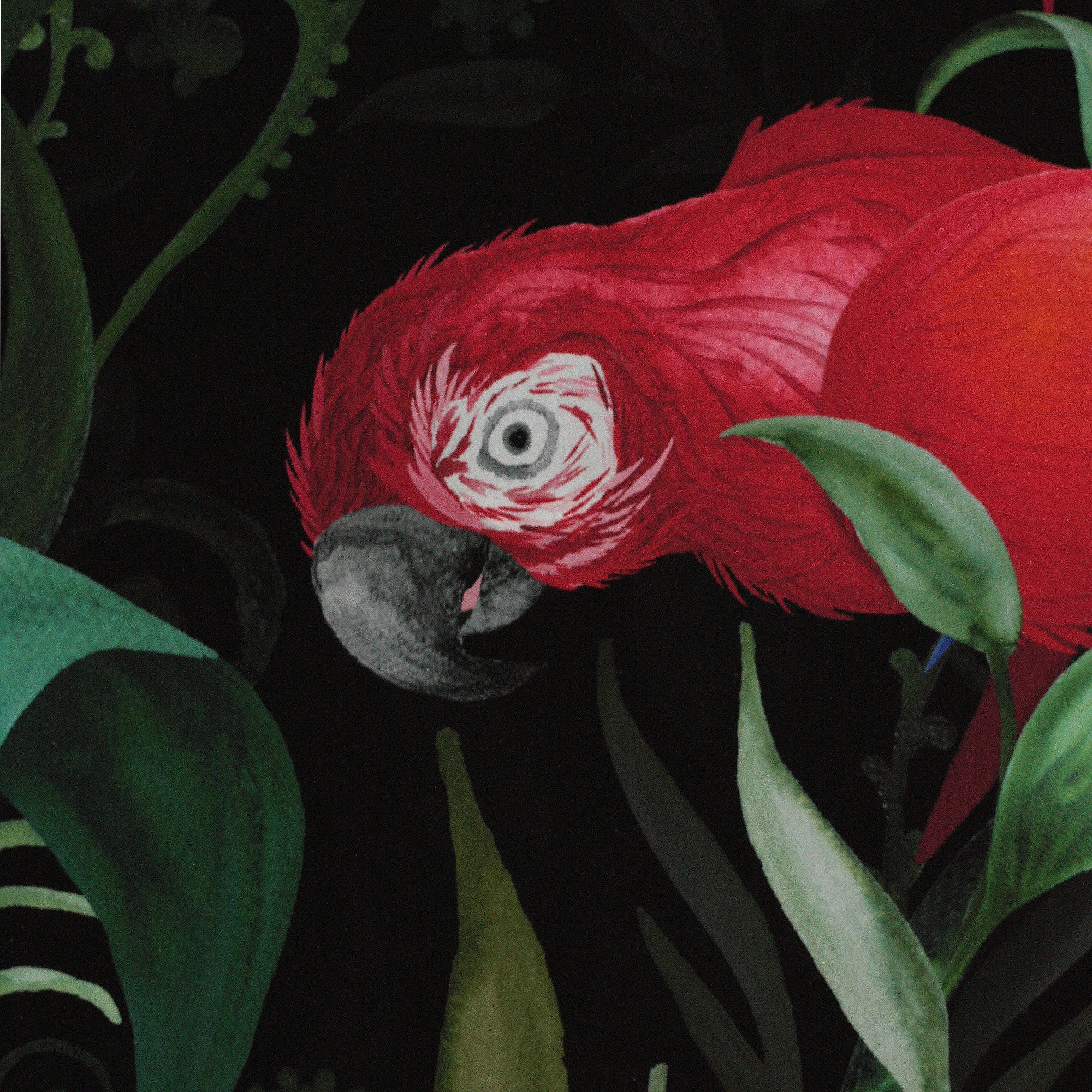 Majestic Macaws Art Print-7