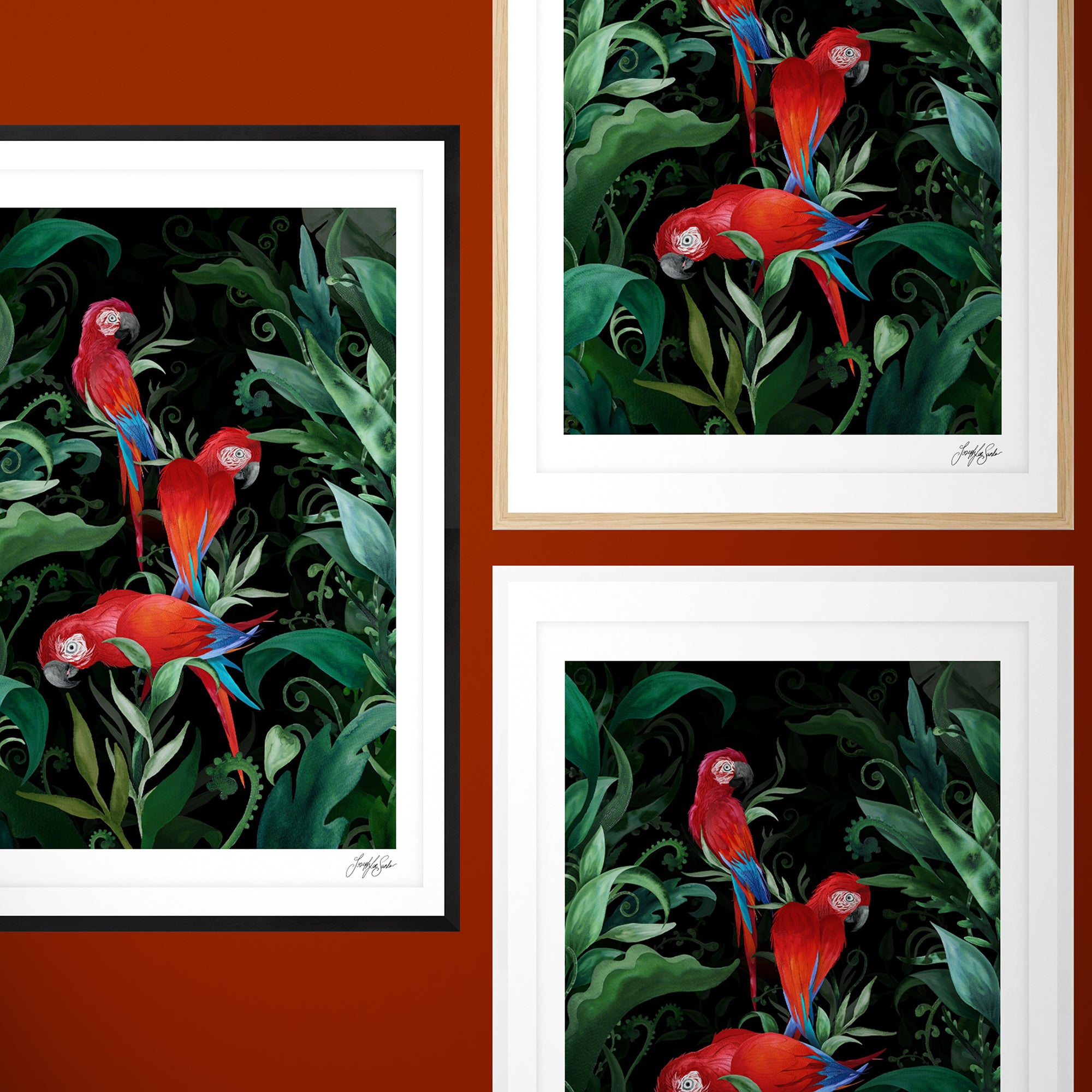 Majestic Macaws Art Print-11