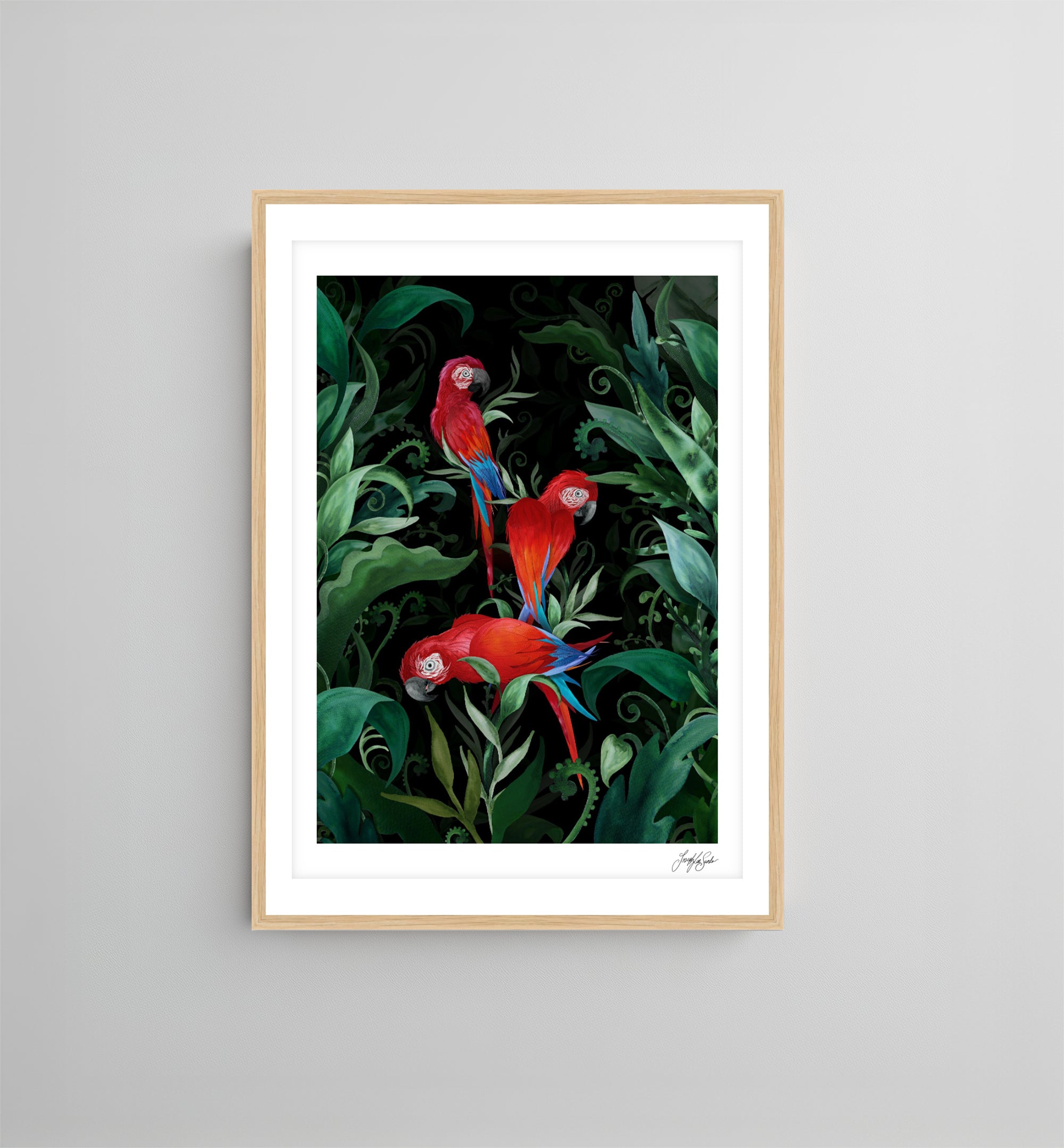 Majestic Macaws Art Print-10